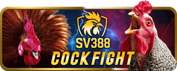 Bắt đầu chơi casino trên Rubik88 App
